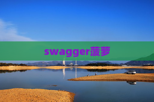 swagger菠萝 swagger菠萝